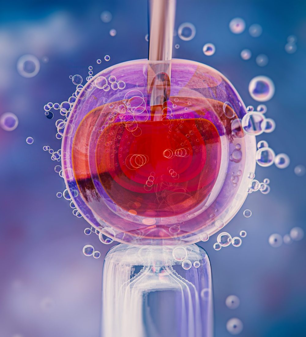 beautiful-fertility-concept-3d-rendering